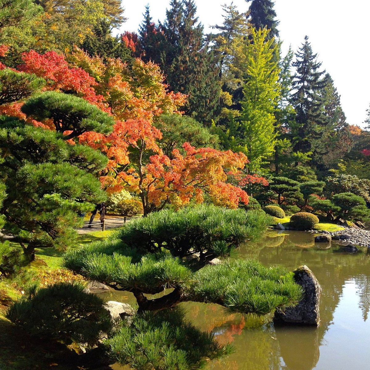 washington park arboretum